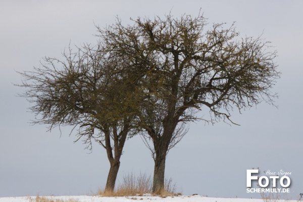 Niederbrechen im Winter