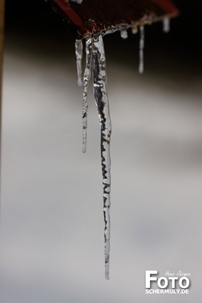 Niederbrechen im Winter