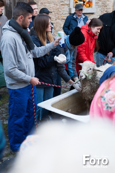 2019.10.10_The best of Hammelwaschen KB 2019 Niederbrechen (25 von 106)