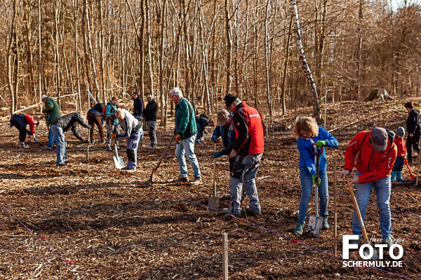 2022.03.19_1250 Baum-Pfanzaktion in Oberbrechen (76 von 157)